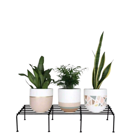 Rectangular Rust-Proof Metal Plant Stand