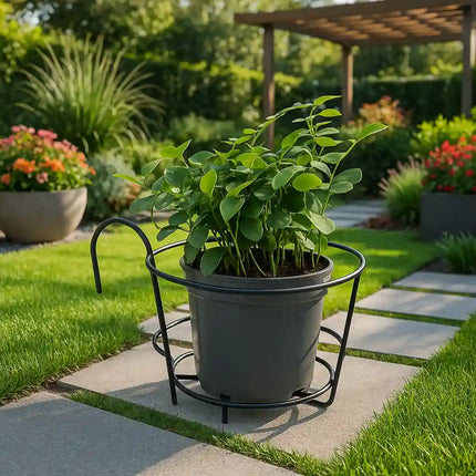 Metal Hanging Basket/Plant Stand – Multi-Purpose Use